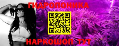 СК Гатчина