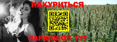 спайс Гагарин
