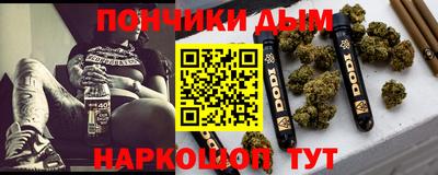 спайс Гагарин