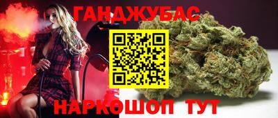 СК Гатчина