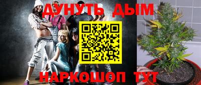 спайс Гагарин