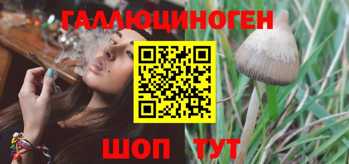 Галлюциногенные грибы MAGIC MUSHROOMS  Вход с VPN  Муравленко 
